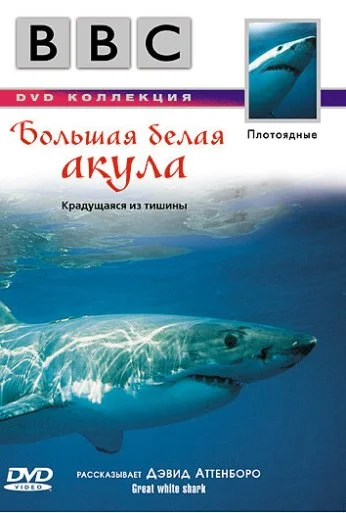 BBC: Большая белая акула (1995) онлайн бесплатно